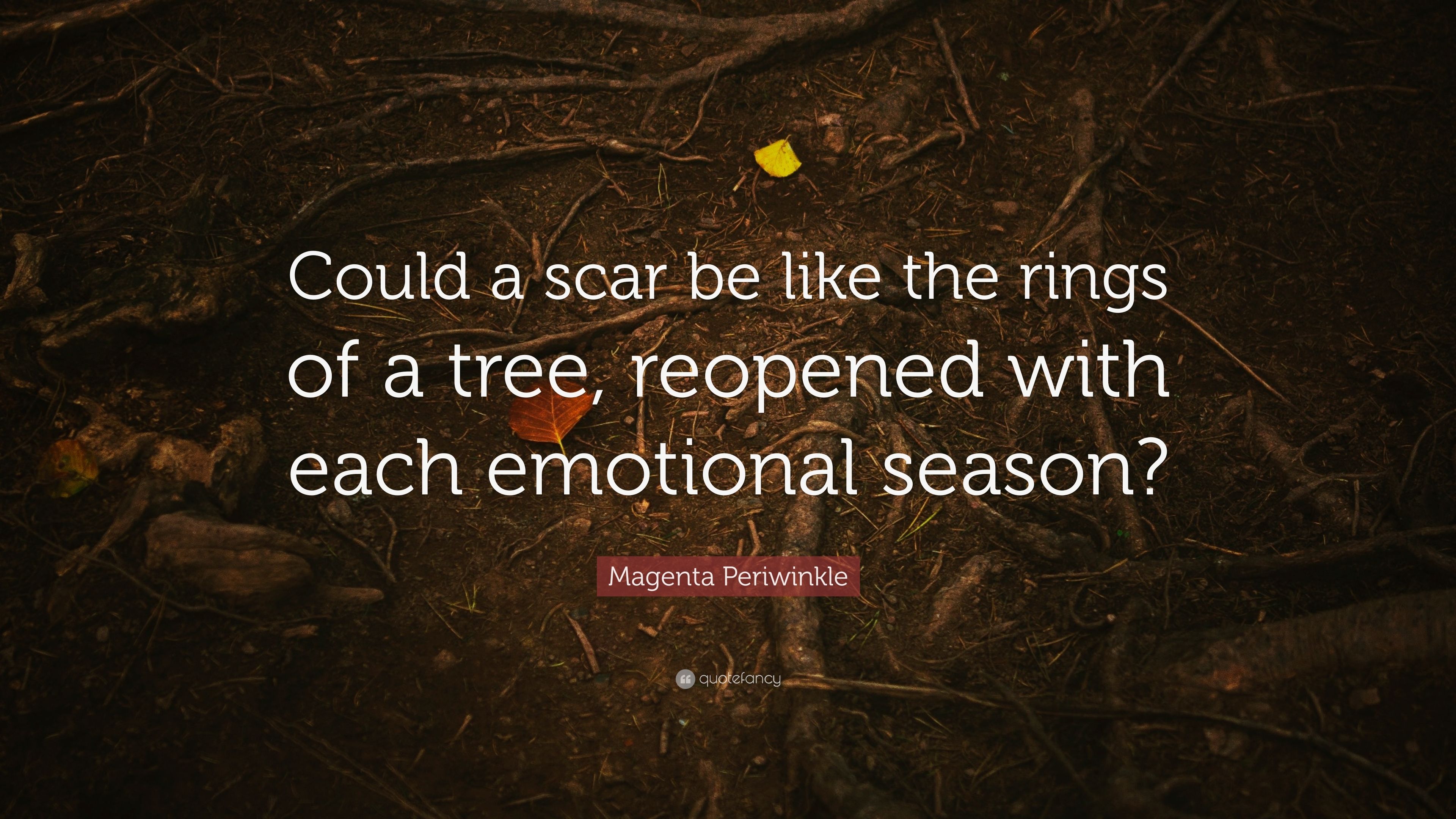 4870929-Magenta-Periwinkle-Quote-Could-a-scar-be-like-the-rings-of-a-tree